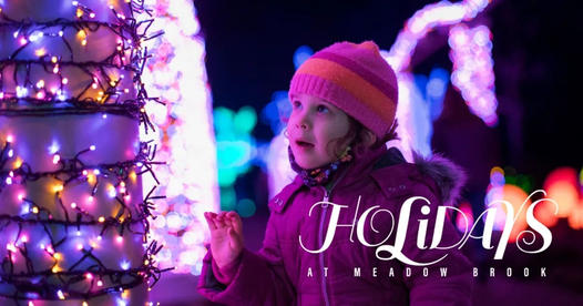 Meadow Brook Holidays 2021