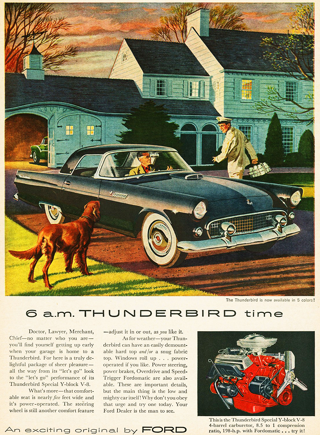 Ford 1955 Thunderbird ad a
