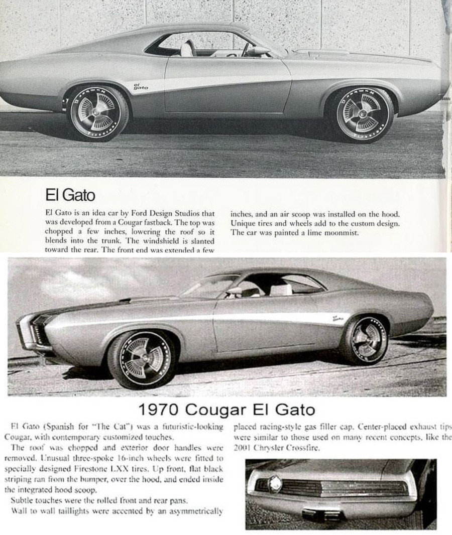El Gato show car RESIZED 2