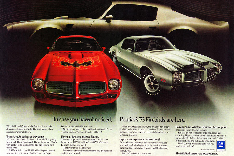 1973 Pontiac Firebird and Trans Am magazine ad Robert Tate Collection