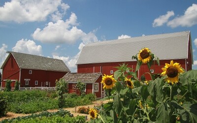 Rentschler Farm