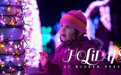 Winter Wonder Lights &amp; Holiday Walk